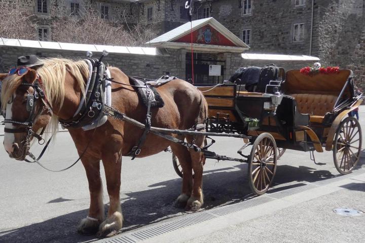 Hébergement aux meilleurs prix Centre-ville de Montréal